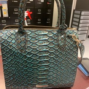 caroline bird of paradise brasilia